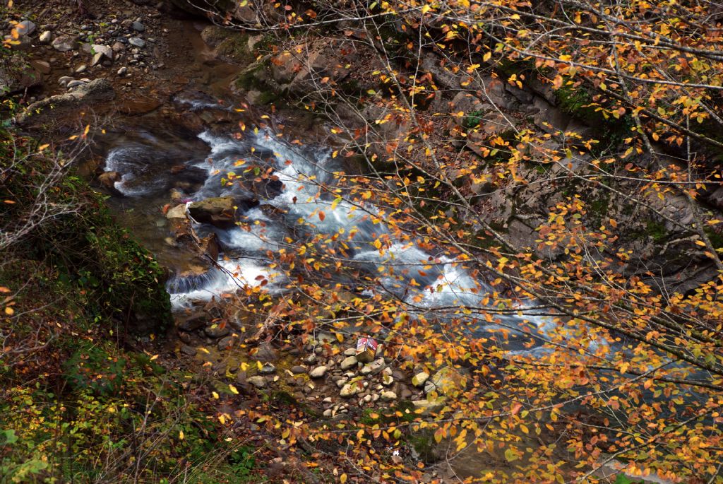 Akp Giderken Hayat...