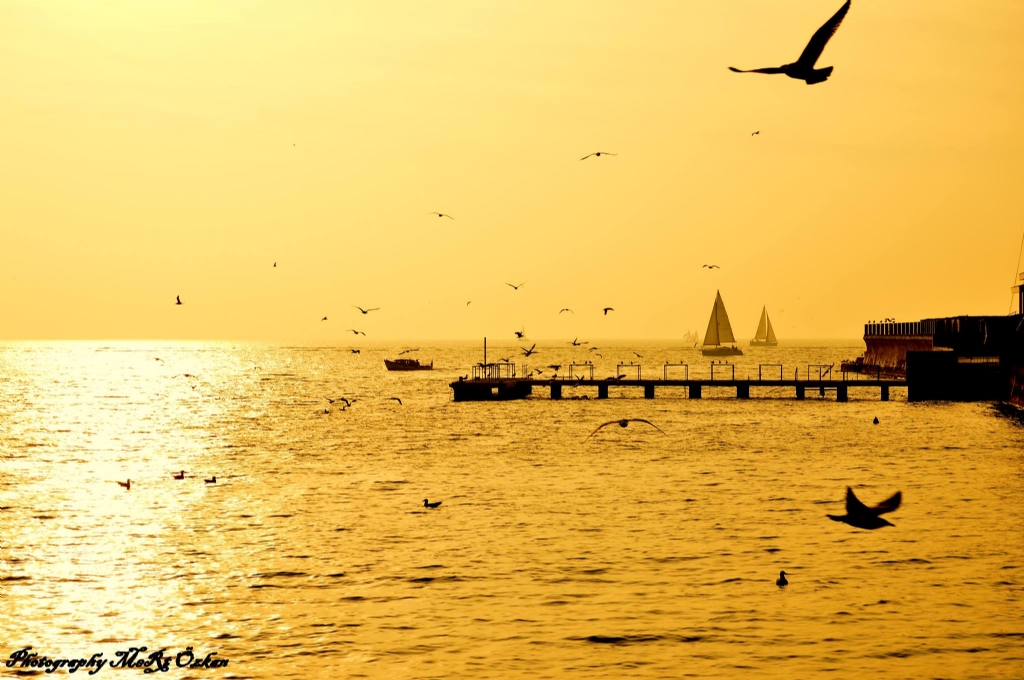 Bir g�n Daha Geride Kald�