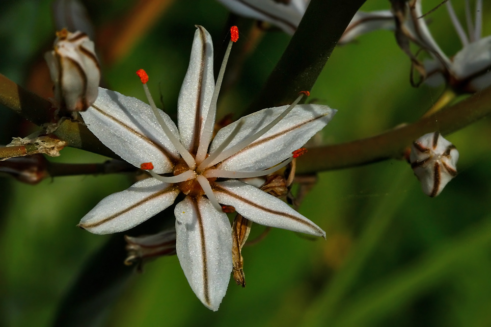 Sado34 ve NF Dostlarma