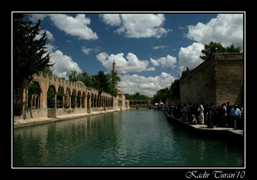 anlurfa Halilrrahman Gl