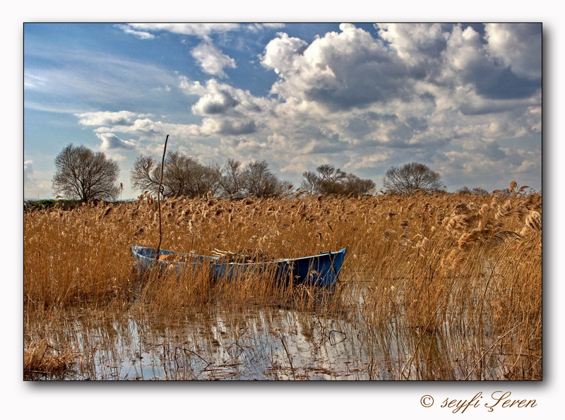 Kzksa gl manzaralar...