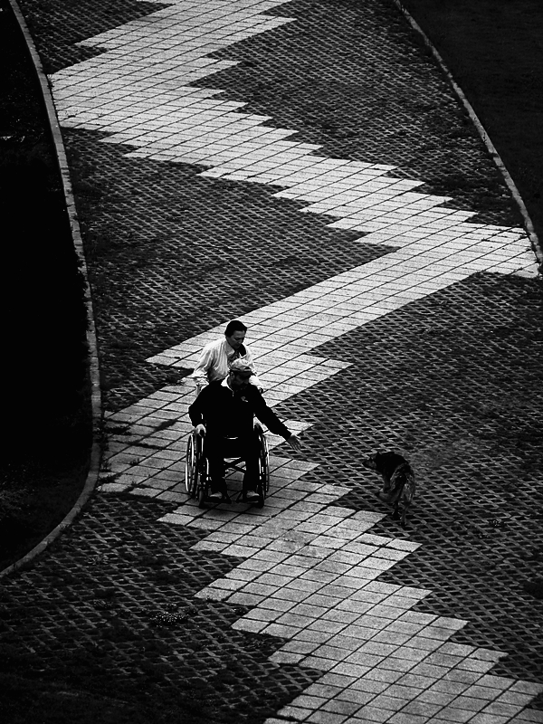 HAYAT DEDN NEK.............