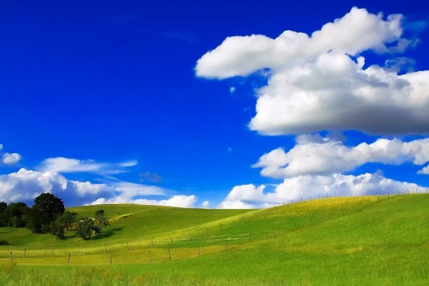 Windowsdaki citler.....