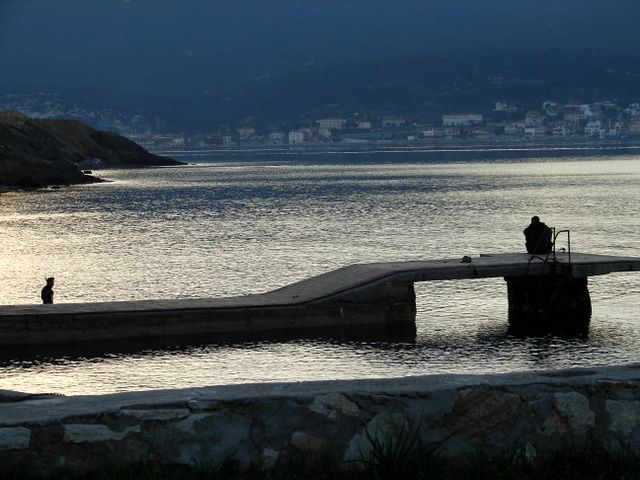 bal�k avc�lar�