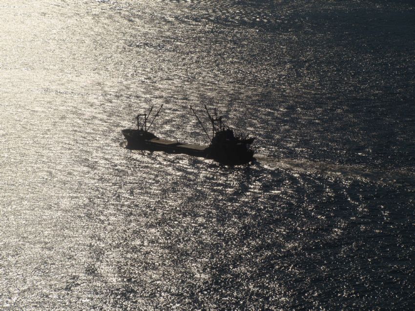 denizmi yanlz, gemimi ?