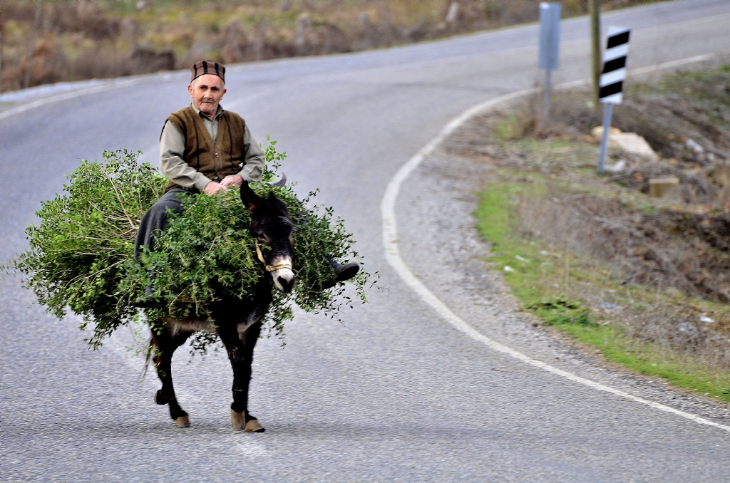 Vasıta