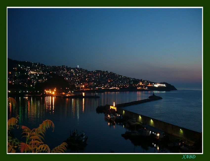 bir tutam yaprak ve Zonguldak...