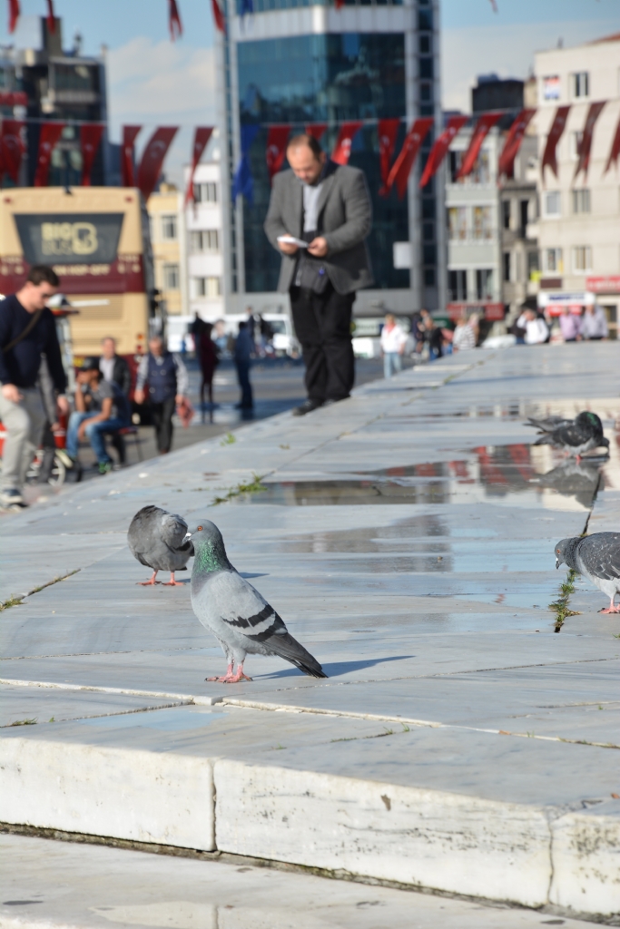 Gezi Park Merdivenleri