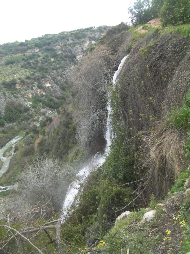 ARK 'TAN  UURUMA AKAN SU