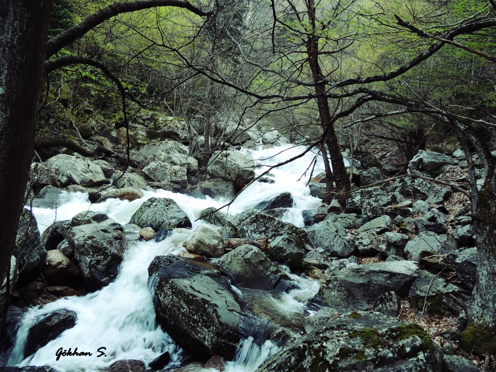 Su Akar Yolunu Bulur Arkada ..