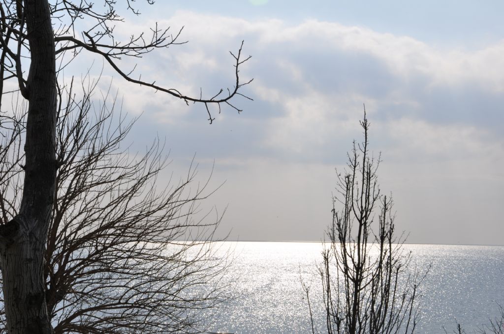 Etrafta Dola��rken 001