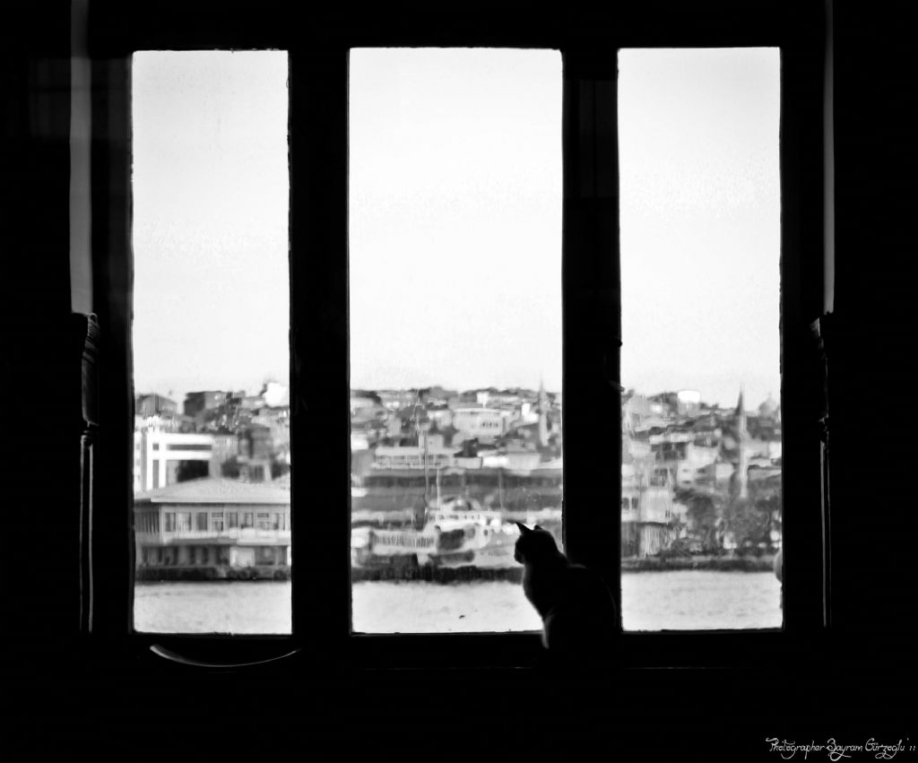 Hep insanlar m bekler sevdiini ?