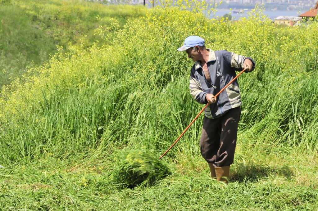 Ter Topuktan ��kmadan...