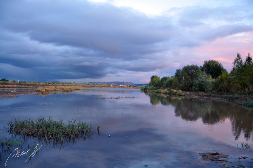 Ak�am�n Soft Renkleri