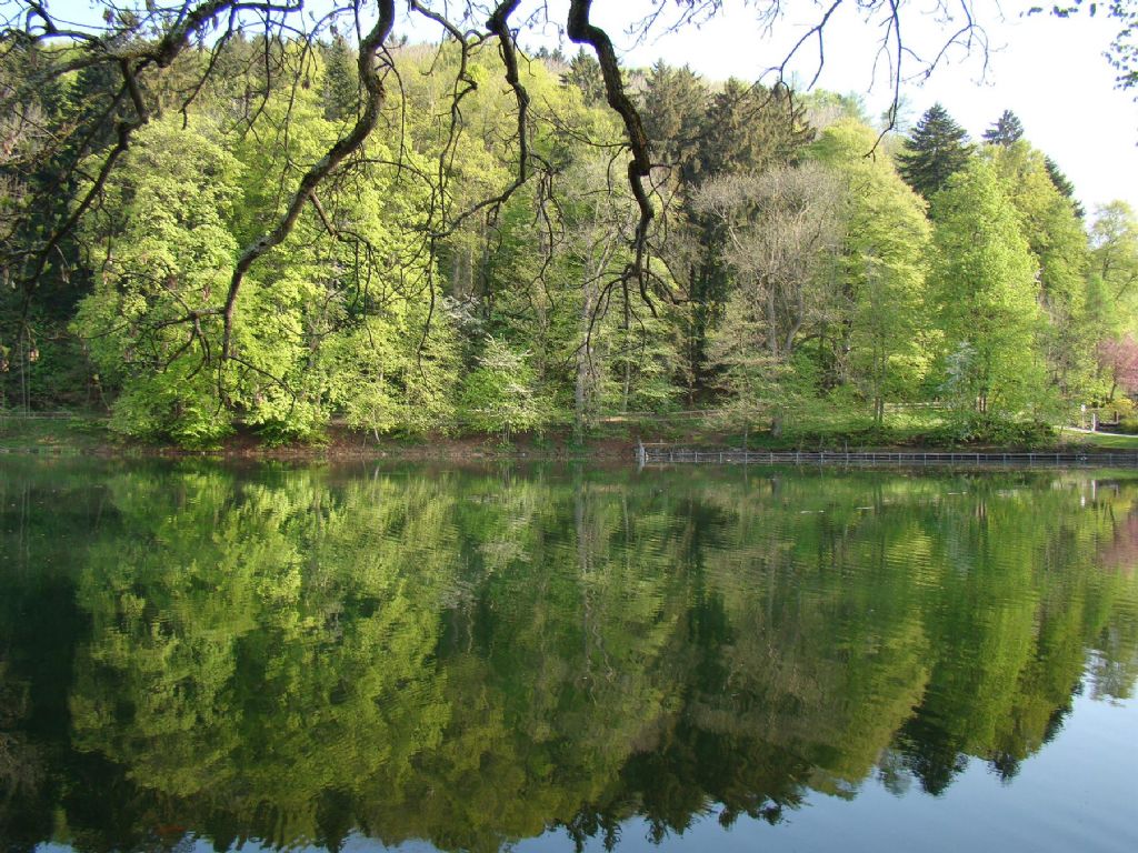 ye�ilin yans�mas�