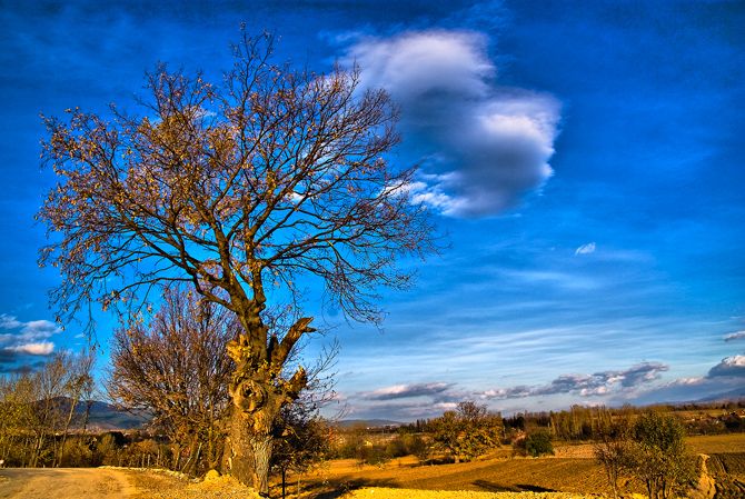 Sonbahar ve Geride Kalanlar