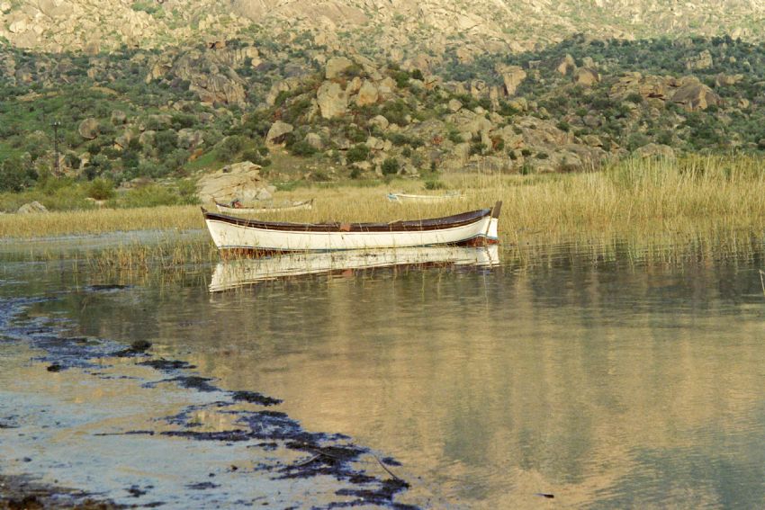 Bafa Gl KAPIKIRI (Heraklia)