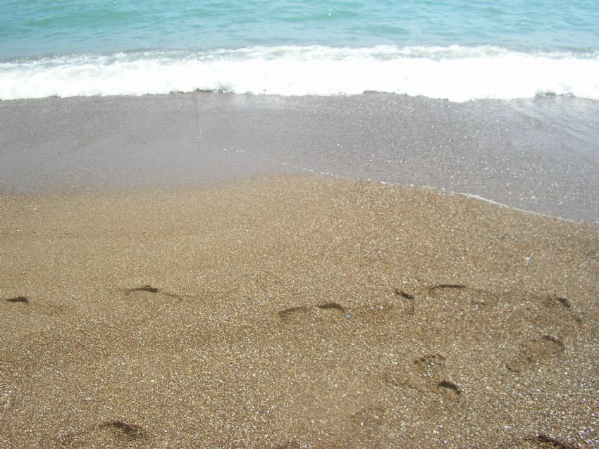 ayak izlerimi silen dalgalar...