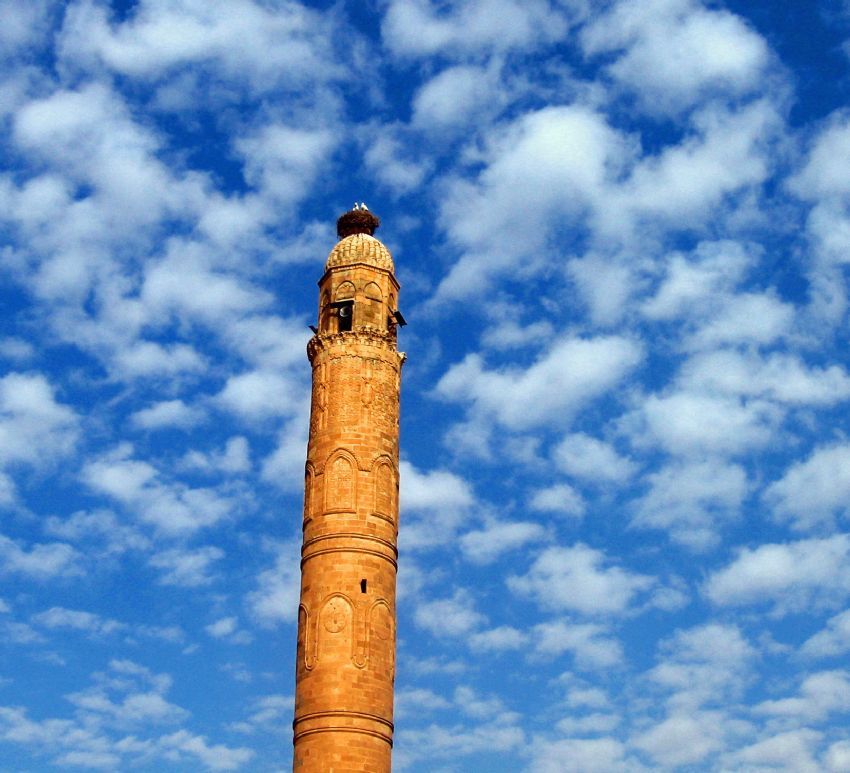 Hasankeyf'de Son Misafirler