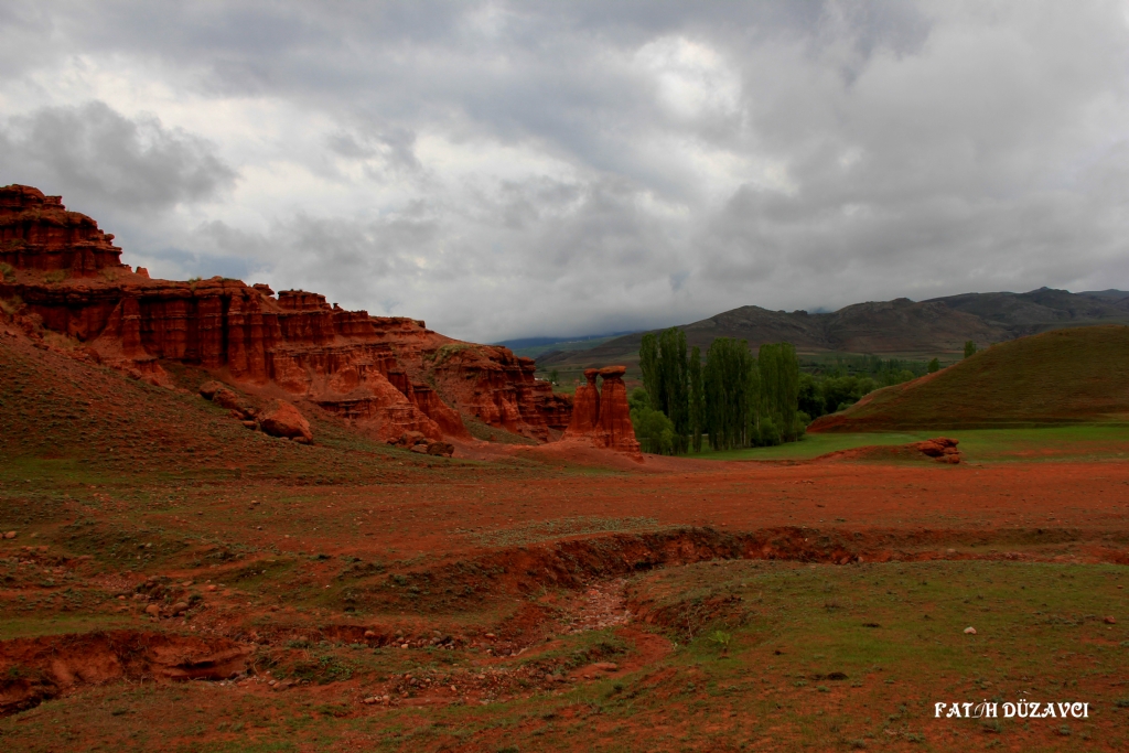 NARMAN KIRMIZI PER BACALARI