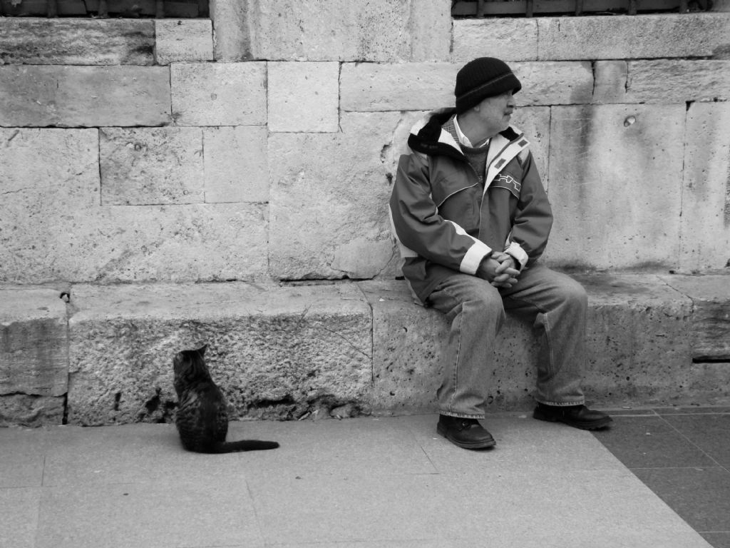 Eminn Kedi ve Adam 2