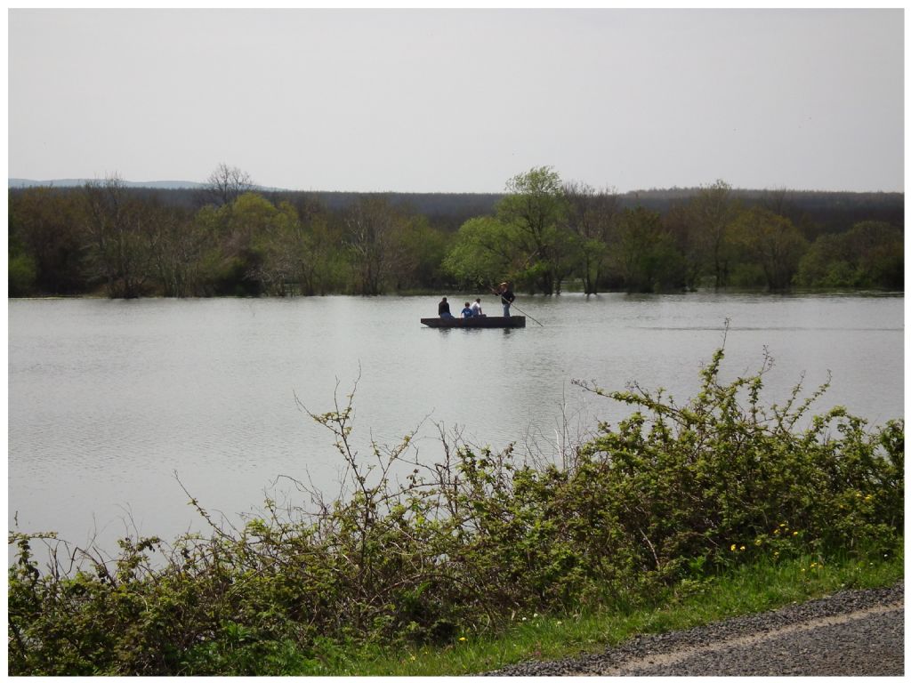 sularn bol olduu zaman...