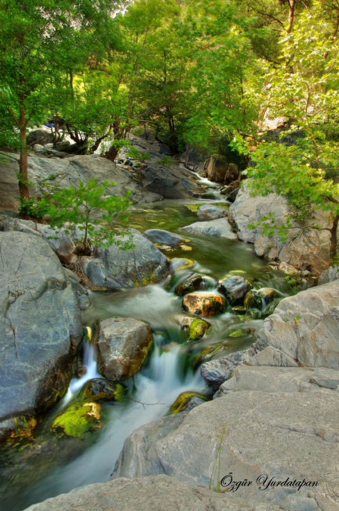 Hasanbouldu (Stven) 2016 (2)