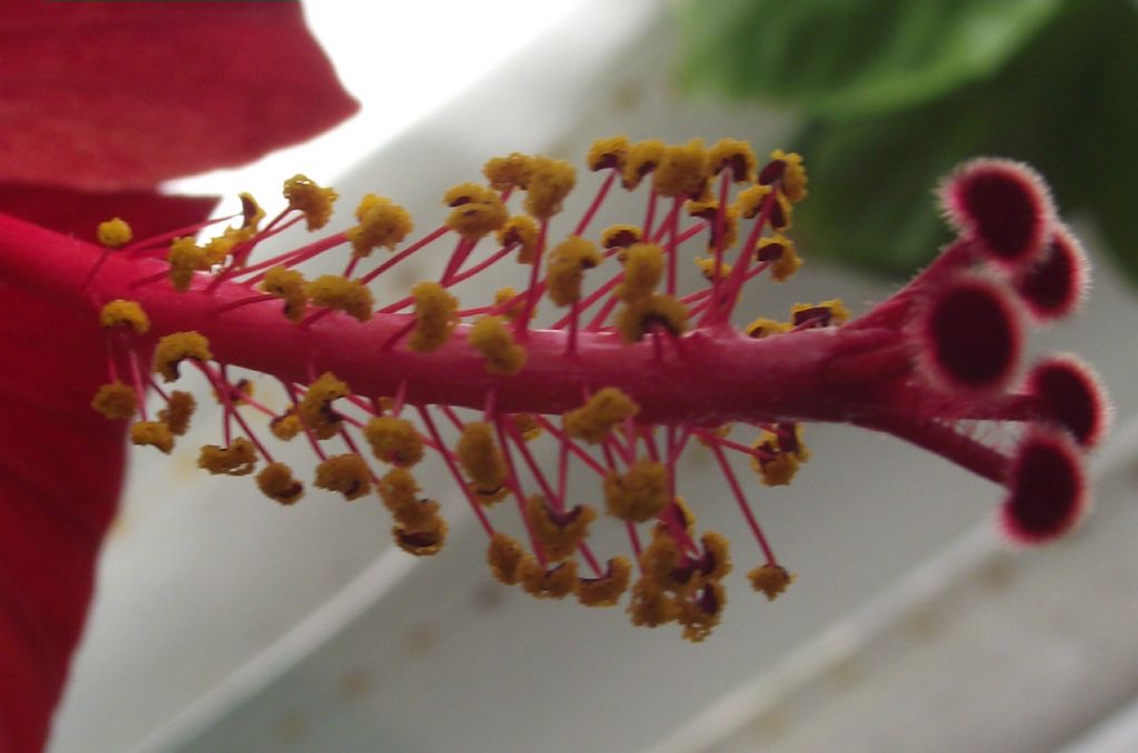  Bir g�nl�k �m�r