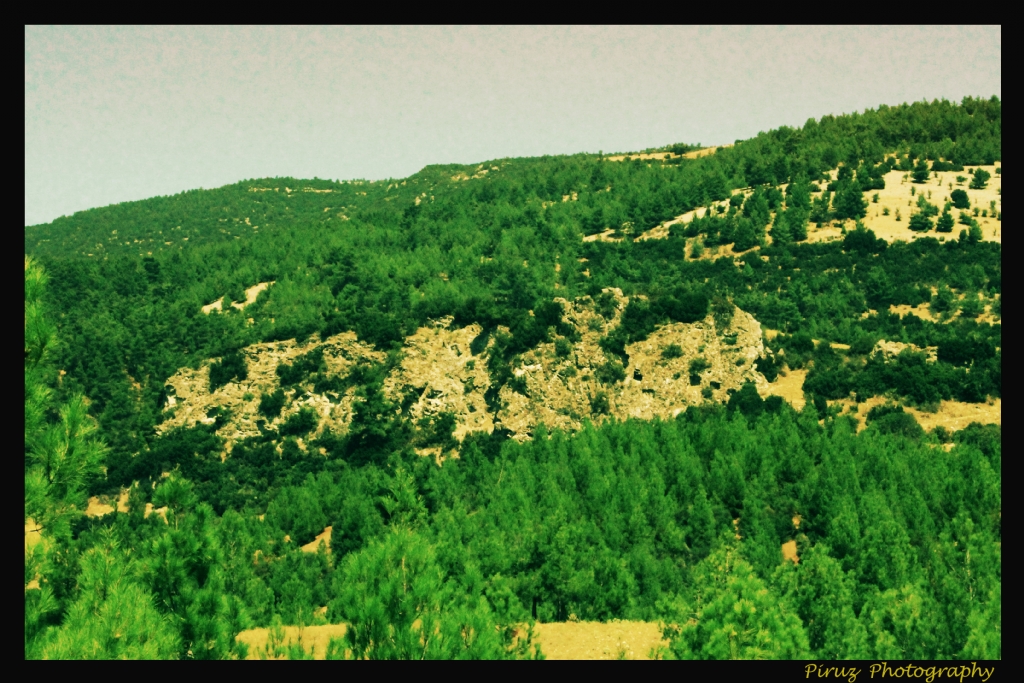 Kalenin Ye�ille Bulu�mas�