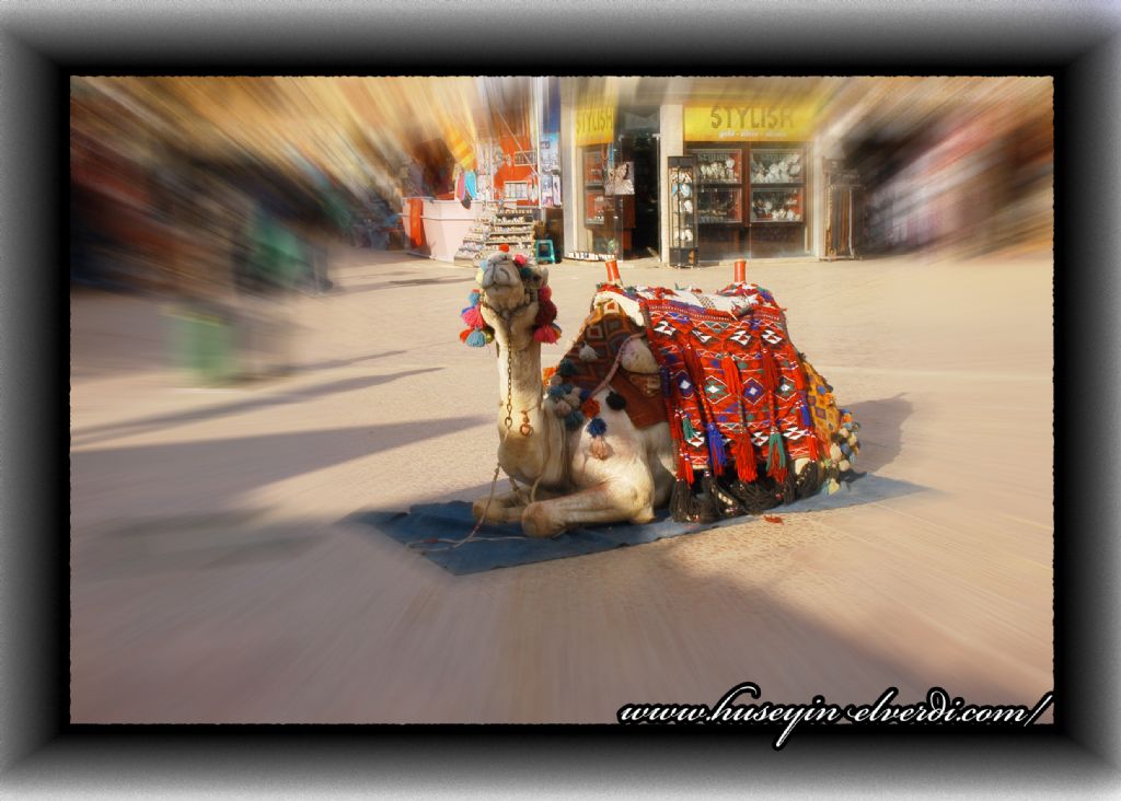 sharm el sheik old bazaar