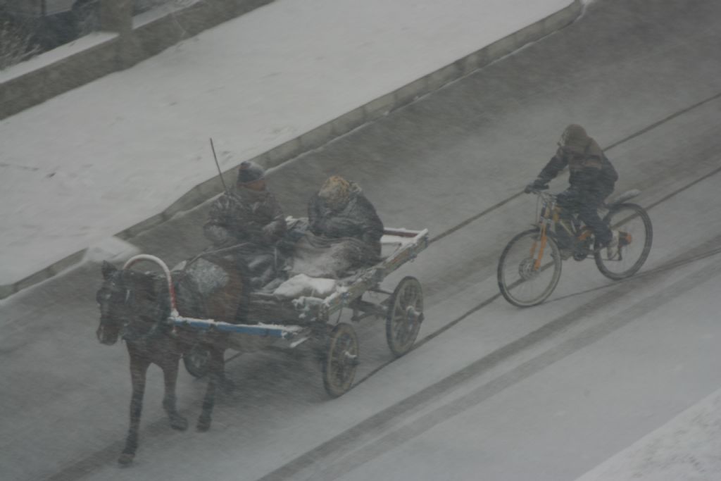 karn altnda at arabas