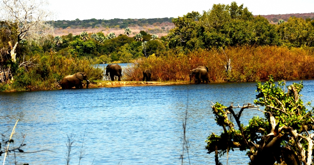 zambezi nehiri.