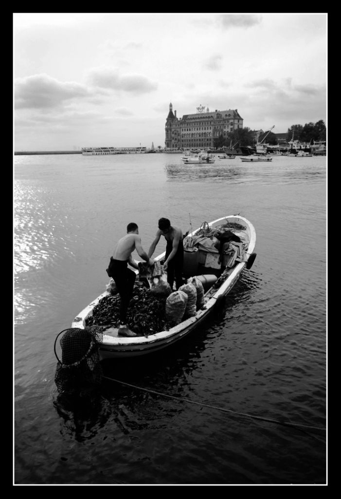 Haydarpaa'da Midyeciler