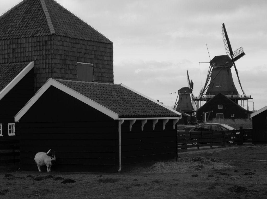 Neden saklandin oyle ?