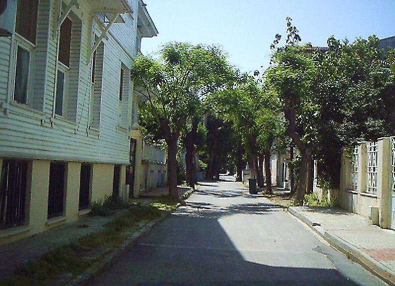 Adalarda bo bir sokak