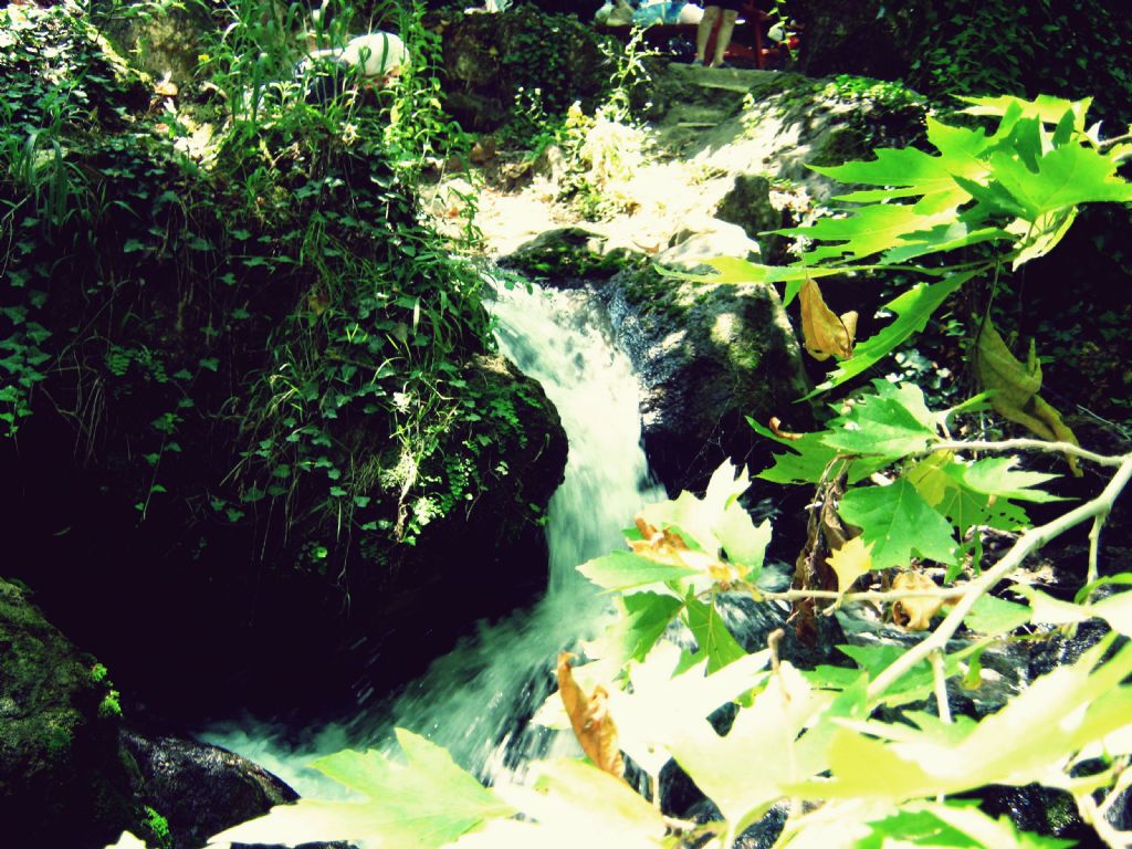 ala alayabildiin kadar..