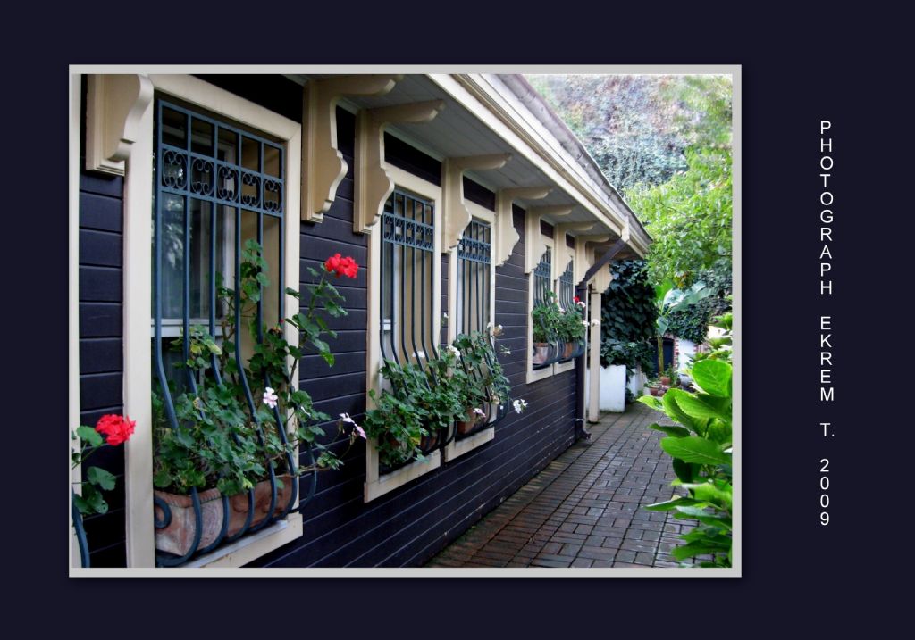 Takvim yapraklarndan...