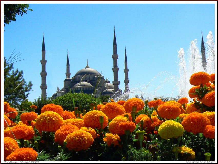 Sultanahmet Camii