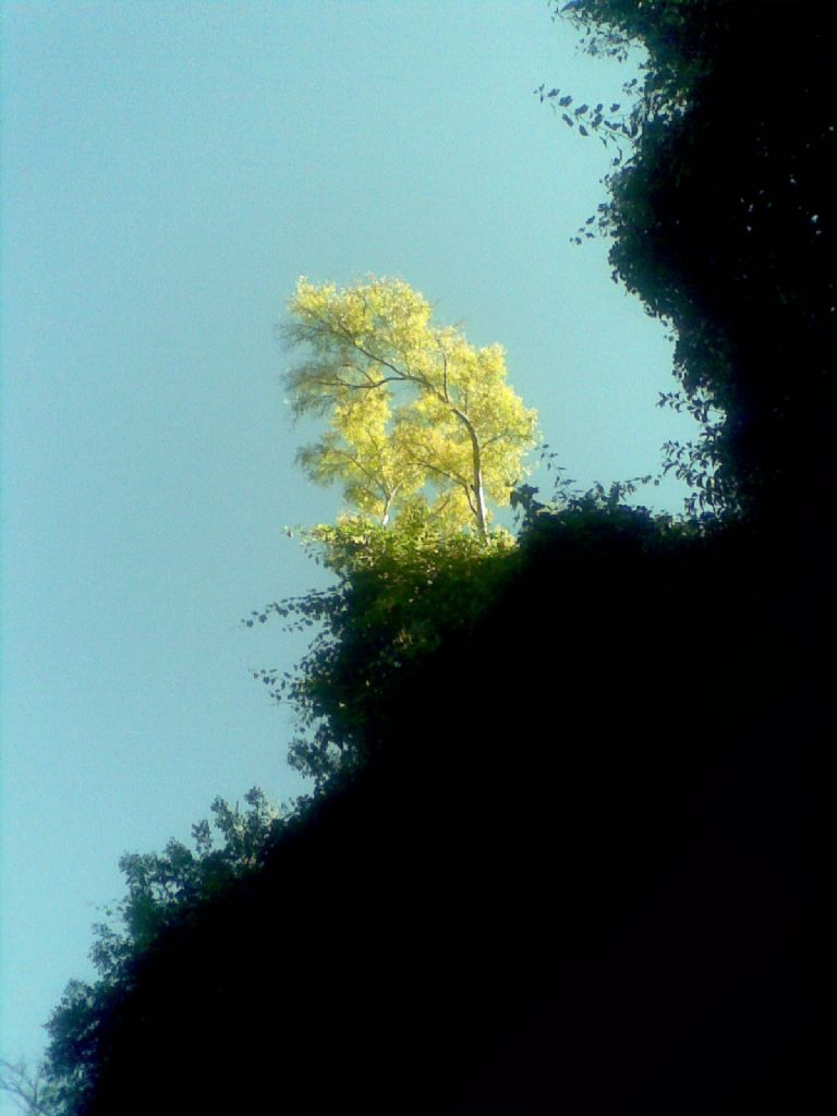 S�n�rs�z Hazan