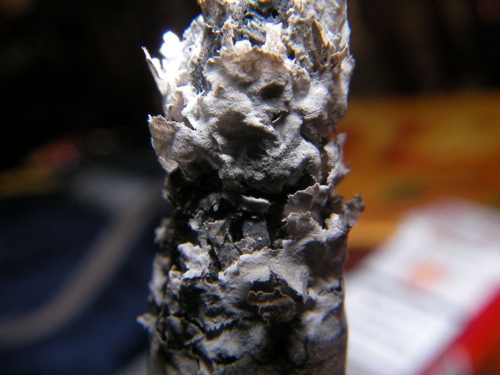 Sigaran�n berbatl���..