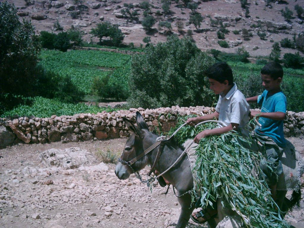 haydi kaalm burdan....