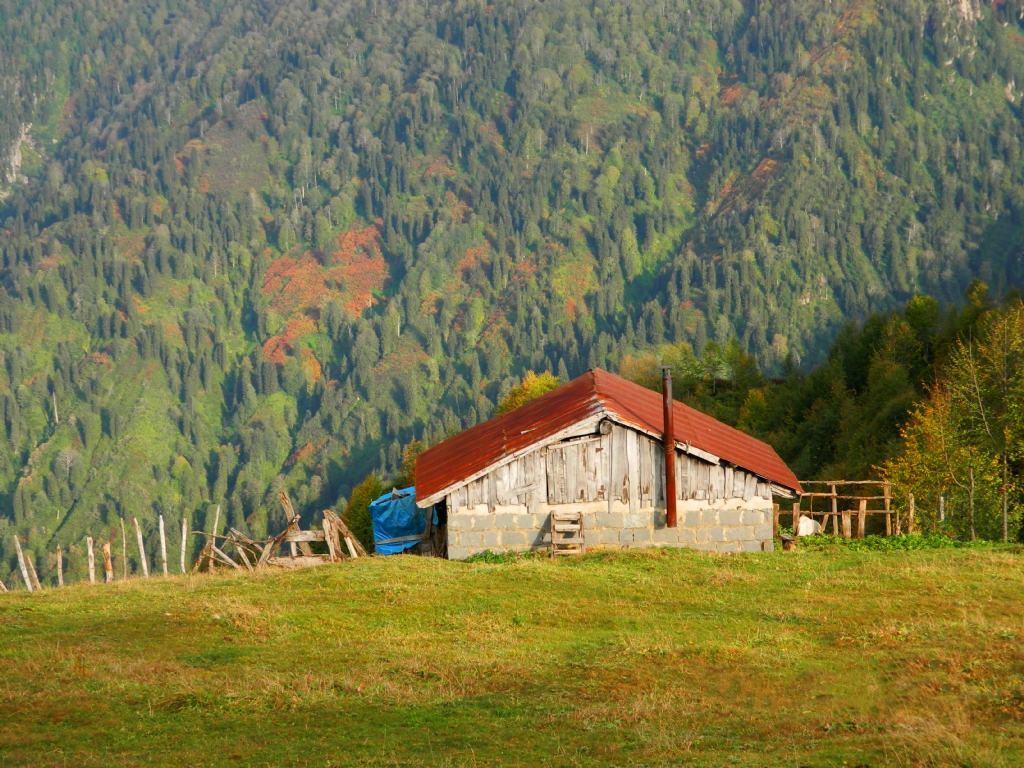 Hand�z� Yaylas� 3