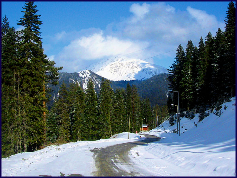 Ilgaz mountain