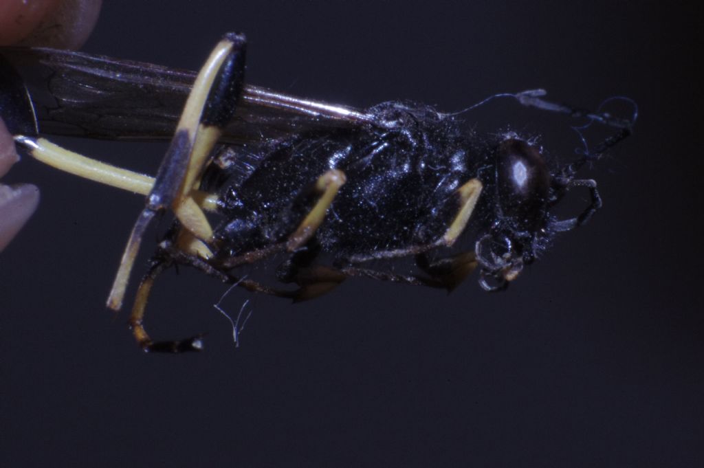 ters lens denemeleri