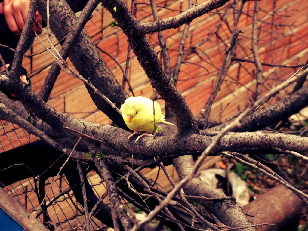 Herkes ister... �zg�rl�k