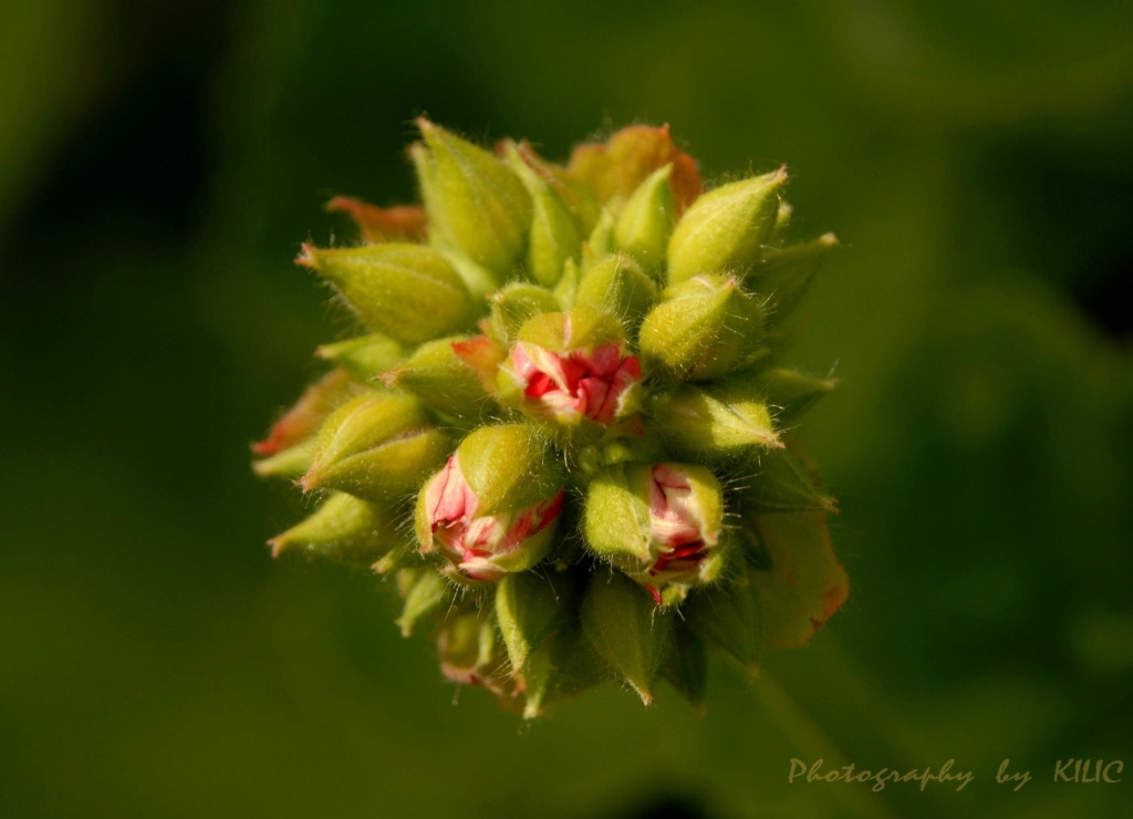 Hayatlar bir arada a�ar!