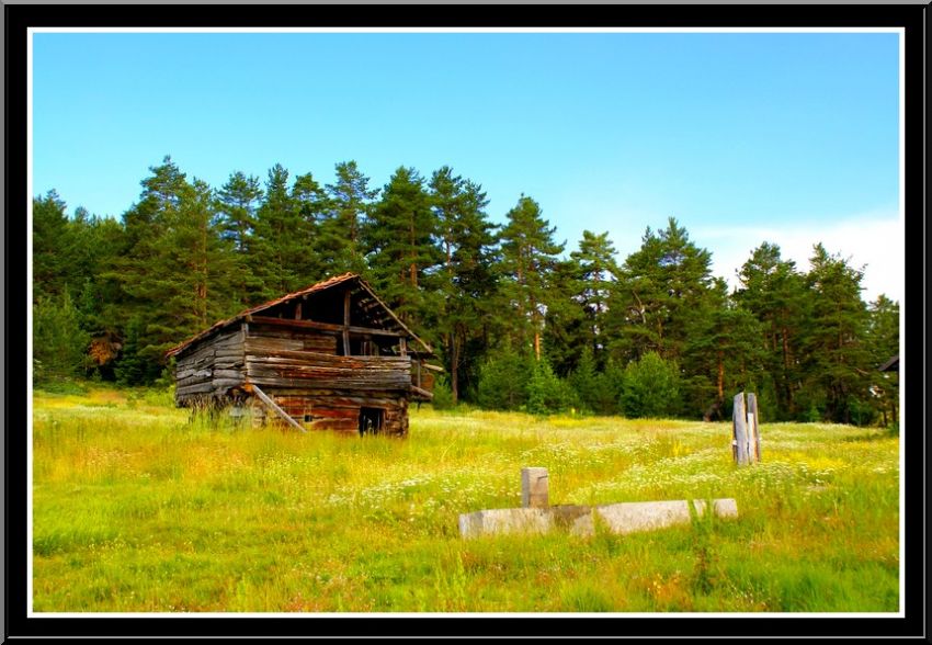 �imdi orda olmak vard�...