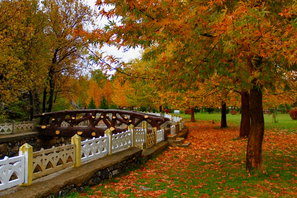 Sonbaharn Renkleri...