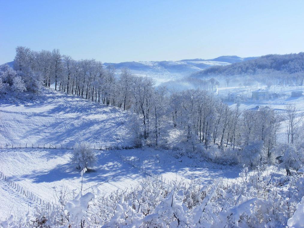 her yerde kar var...