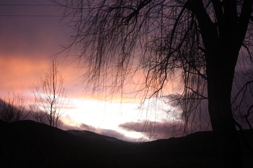 gnein ardndan kalan...